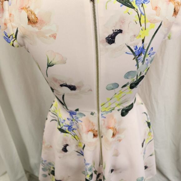 Ted Baker Size 0 Pink and Floral Dress Fit and Flare - Picture 7 of 11